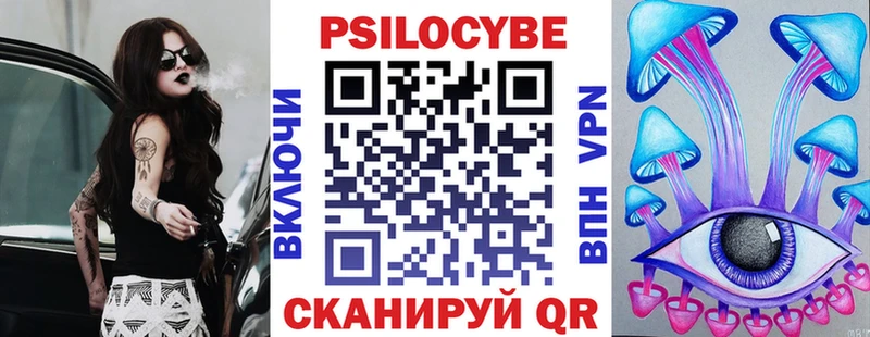купить   Пикалёво  Галлюциногенные грибы Psilocybe 